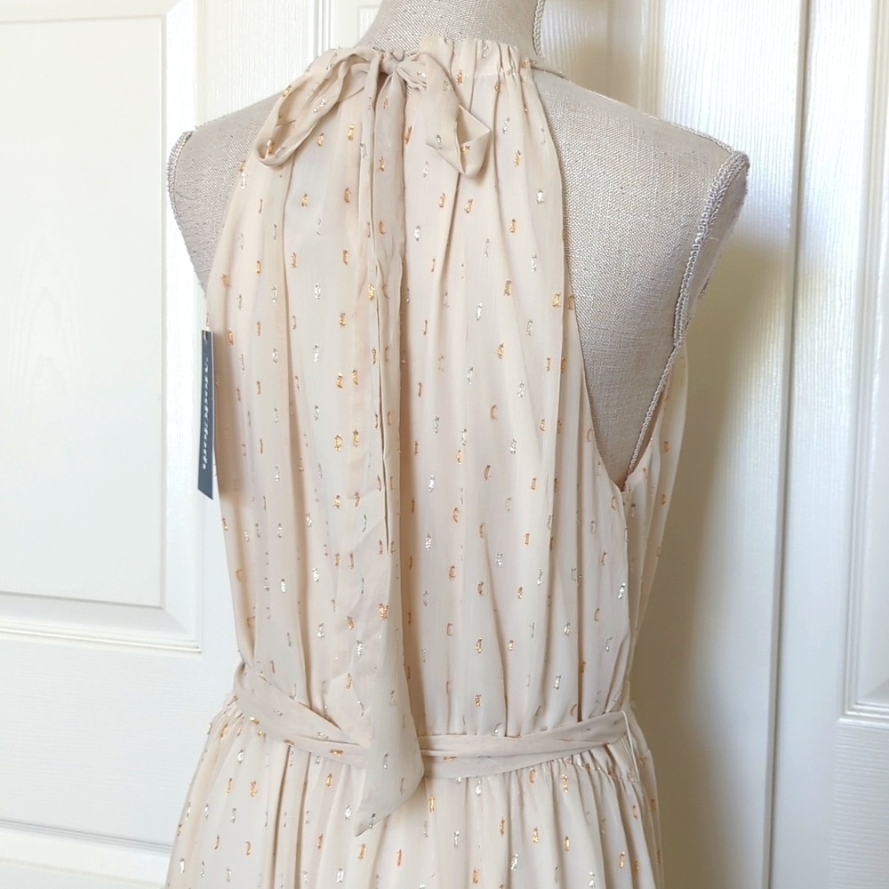 ModCloth Illuminated Elegance Chiffon Maxi Dress in Ivory - Picture 10 of 12